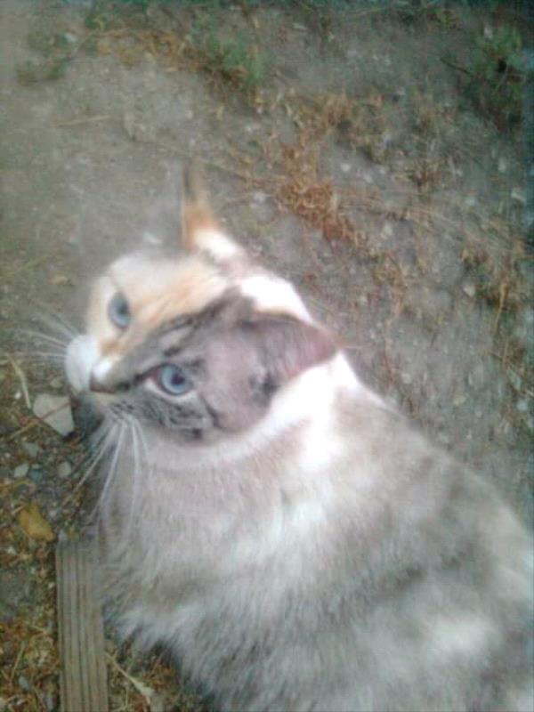 /Images/uploads/Humane Society of Utah/HSUCalendar/entries/1222thumb.jpg